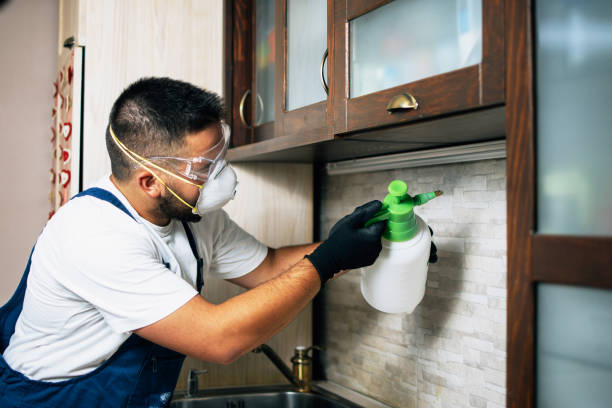Best Pest Prevention Services  in Goddard, KS