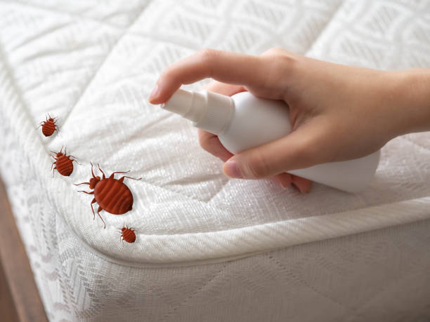 Best Pest Removal Services  in Goddard, KS