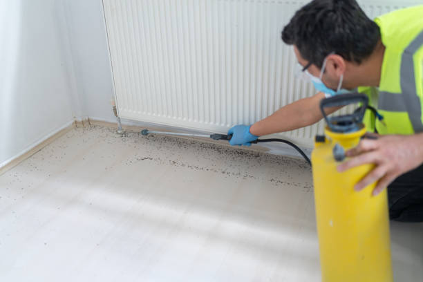 Best Local Pest Control Services  in Goddard, KS