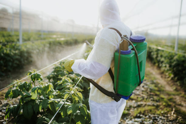 Professional Pest Control in Goddard, KS